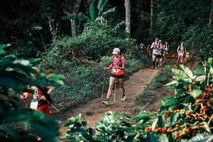 BIB: 
                            <button type="button" onclick="openModal(25827062)" class="btn btn-primary btn-sm float-right btn-popup" data-toggle="modal" data-target=".modal-high-quality">
                        <i class="fas fa-shopping-cart"></i> Add to Cart
                    </button>
                                            <button type="button" onclick="isThisMe(25827062, true)" class="btn btn-success btn-sm float-right btn-popup btn-isme hidden" data-toggle="tooltip" data-placement="bottom" title="นี่คือรูปของคุณใช่ไหม คลิกที่นี่เพื่อเอาเข้าอัลบั้ม">
                        <i class="fas fa-plus"></i> Add to album
                    </button>
                    <button type="button" onclick="isThisMe(25827062, false)" class="btn btn-warning btn-sm float-right btn-popup btn-isnotme hidden">
                        <i class="fas fa-ban"></i> Remove from album
                    </button>